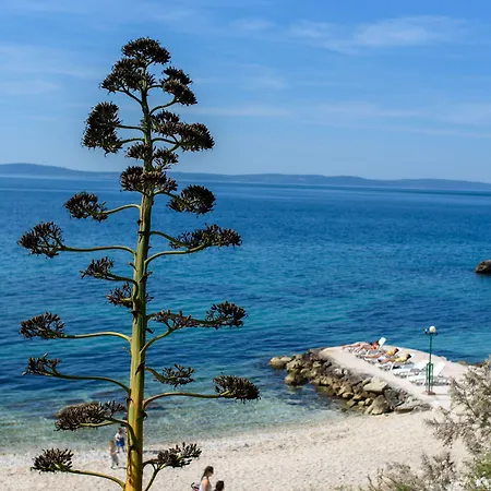 ベッド・アンド・ブレックファスト Location スプリト