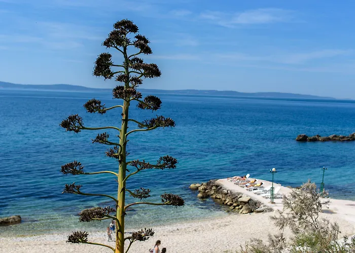 住宿加早餐酒店 Location 斯普利特